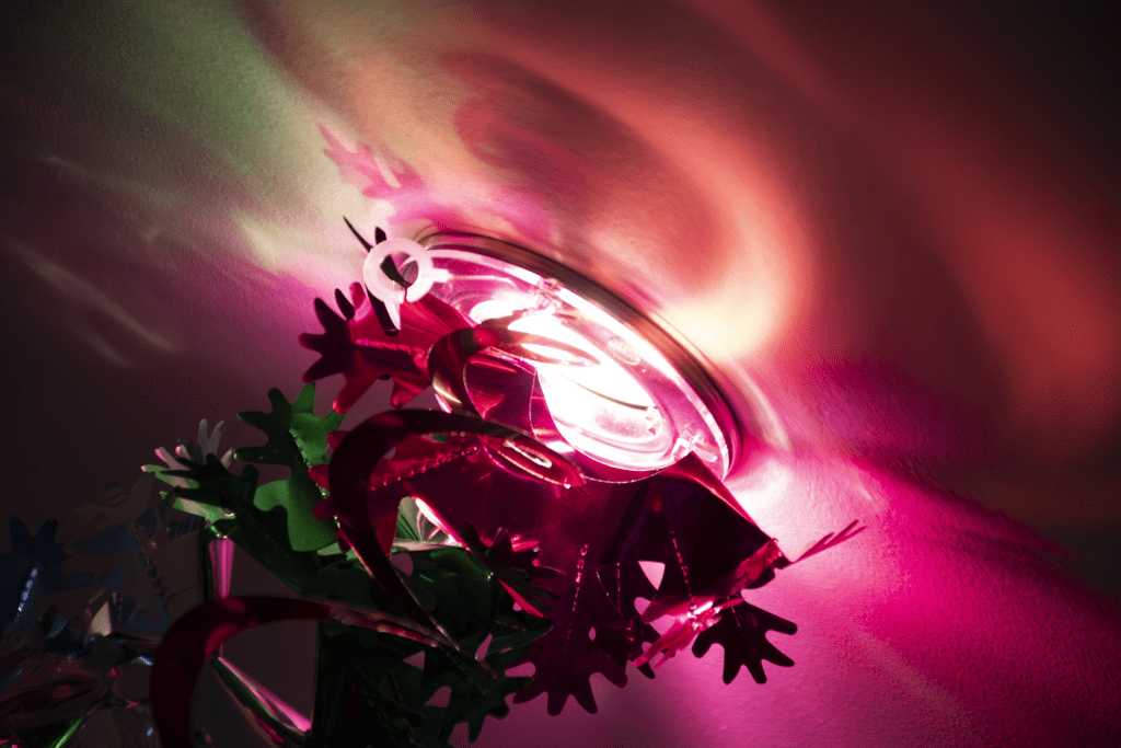 A close up of the light on a plant